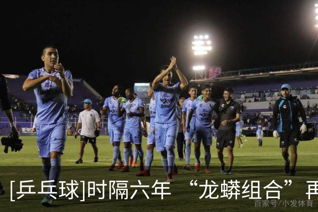 [乒乓球]时隔六年 “龙蟒组合”再夺全锦赛男双冠军
